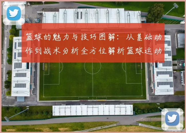 篮球的魅力与技巧图解：从基础动作到战术分析全方位解析篮球运动的精彩世界