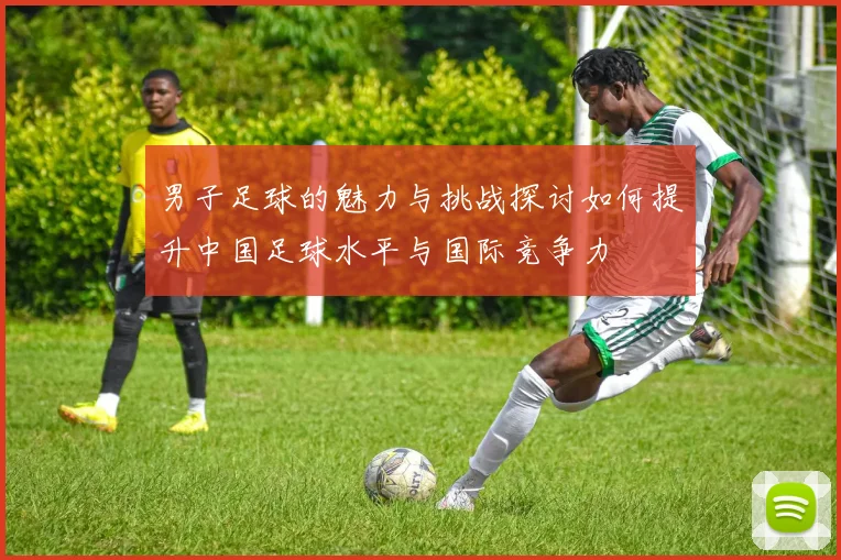 男子足球的魅力与挑战探讨如何提升中国足球水平与国际竞争力