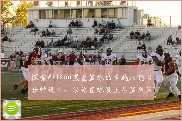 探索Wilson黑金篮球的卓越性能与独特设计，助你在球场上尽显风采与实力